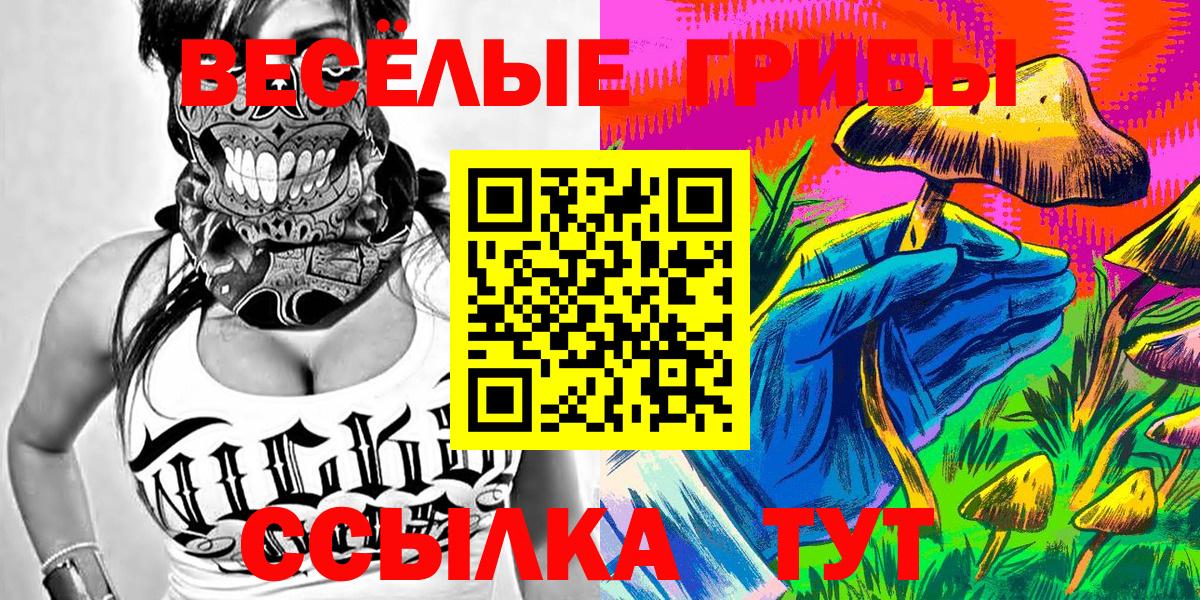 Галлюциногенные грибы GOLDEN TEACHER Курск