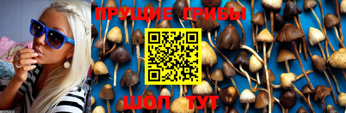 Псилоцибиновые грибы Magic Shrooms  Вход с VPN  Псилоцибиновые грибы MAGIC MUSHROOMS  Курск 